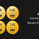 Introduction to All Gold Karats: 9K, 10K, 14K, 18K, 22K, and 24K